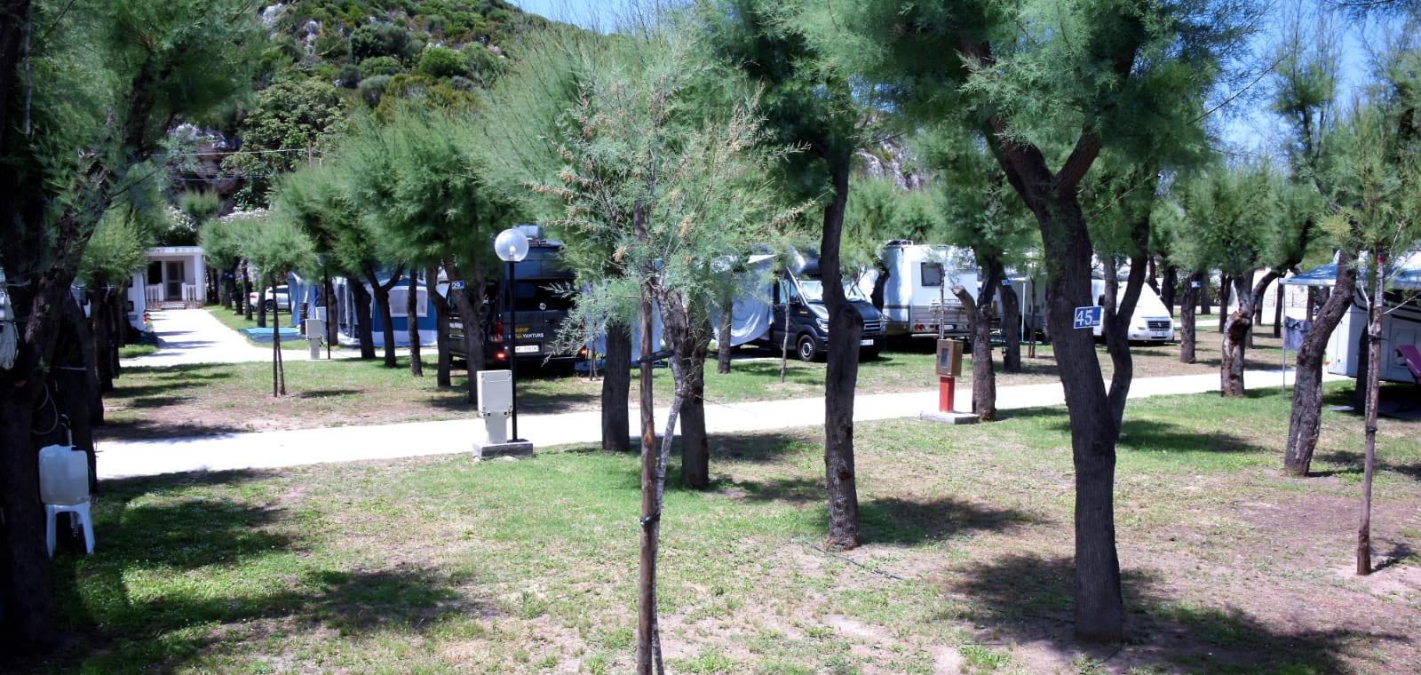 Campeggio con camper tra alberi, vialetti e servizi, immerso nella natura.