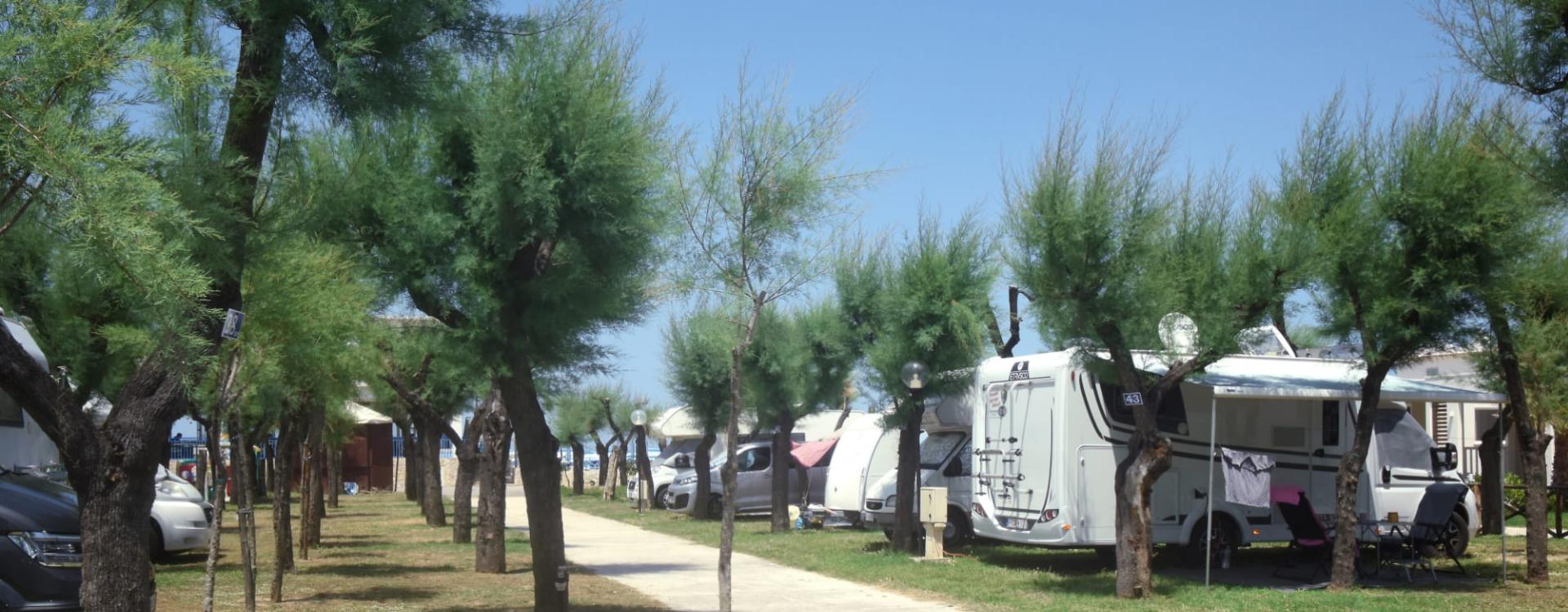 Camper parcheggiati in un'area verde con alberi e sedie all'aperto.