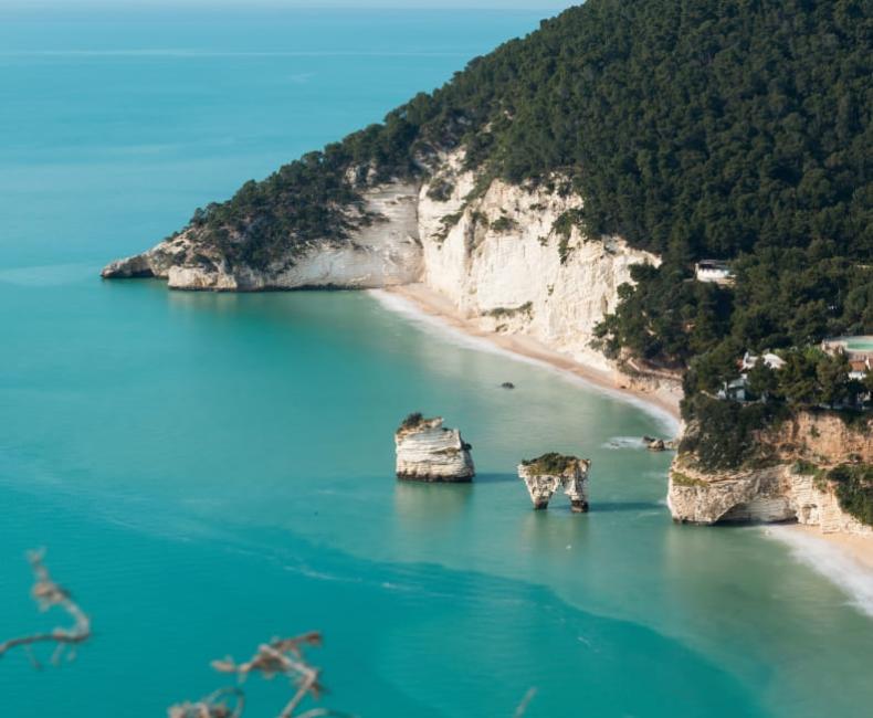 Scogliera bianca e mare turchese, natura rigogliosa lungo la costa.